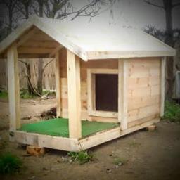 Dajw Daniel Skolimowski - Budy dla psów różnej wielkości. Dach kryty gontem bitumicznym.