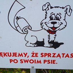 Pracownik - Petsitter Łódź