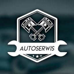 Auto Serwis Damian Borowski - Diagnostyka Komputerowa Aleksandrów Kujawski