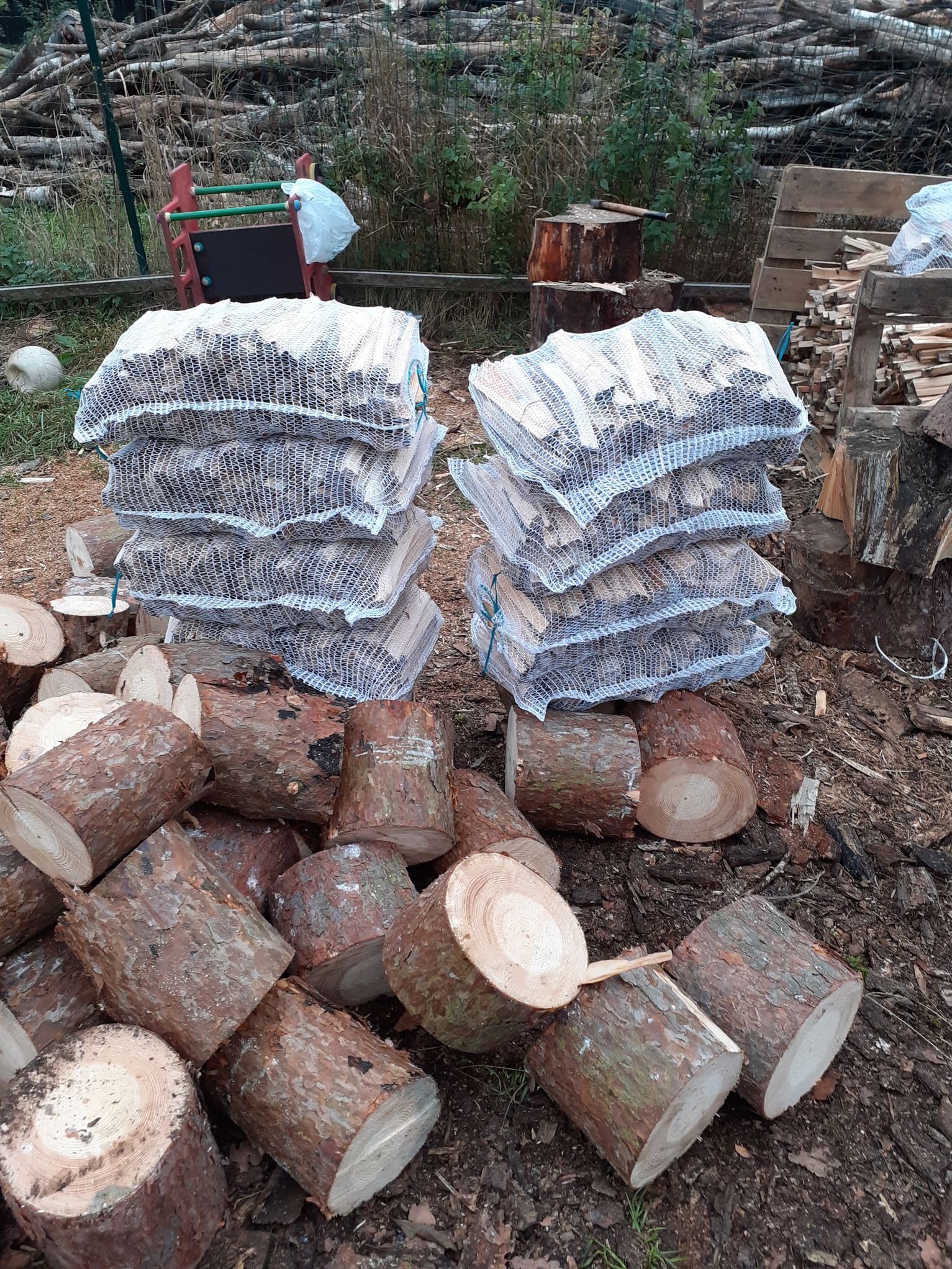 Rozpałka sosnowa 10 zł worek brutto