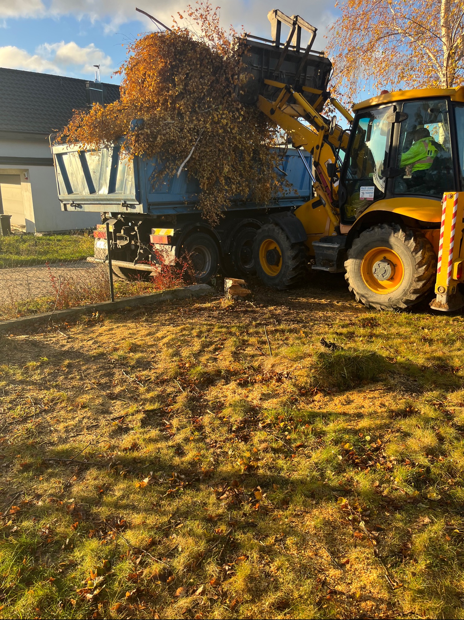 Żółta koparko-ładowarka załadowuje gałęzie z liśćmi do niebieskiej ciężarówki na tle budynku mieszkalnego i błękitnego nieba.