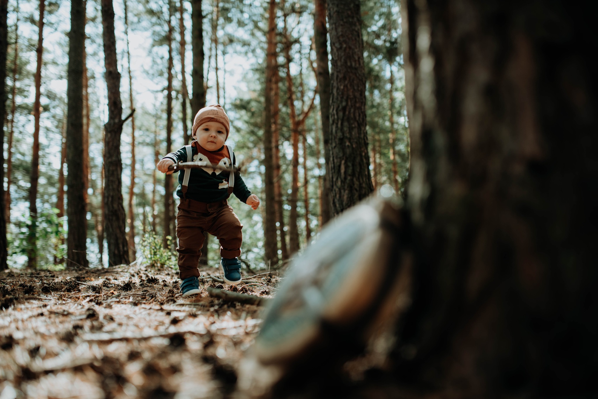 Mały chłopiec w brązowym kapeluszu i spodniach z szelkami, trzymający gałązkę, spaceruje po lesie w okolicach Rzeszowa. W tle wysokie drzewa i ściółka leśna.