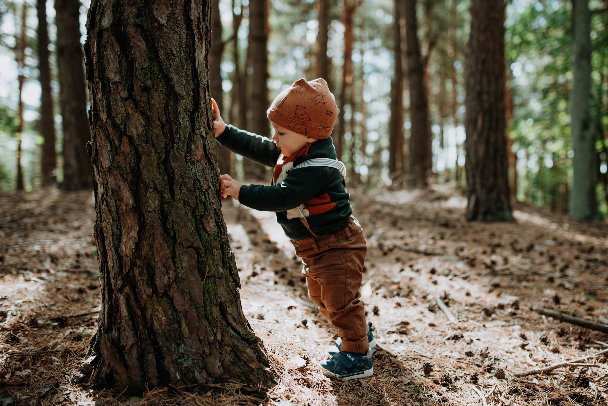 Mały chłopiec w brązowej czapce z motywem niedźwiedzi, opierający się o szorstkie drzewo w lesie iglastym, ubrany w zielony sweter i brązowe spodnie.