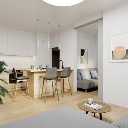 Projekt wnętrz mieszkania na Targówku w Warszawie, salon i kuchnia