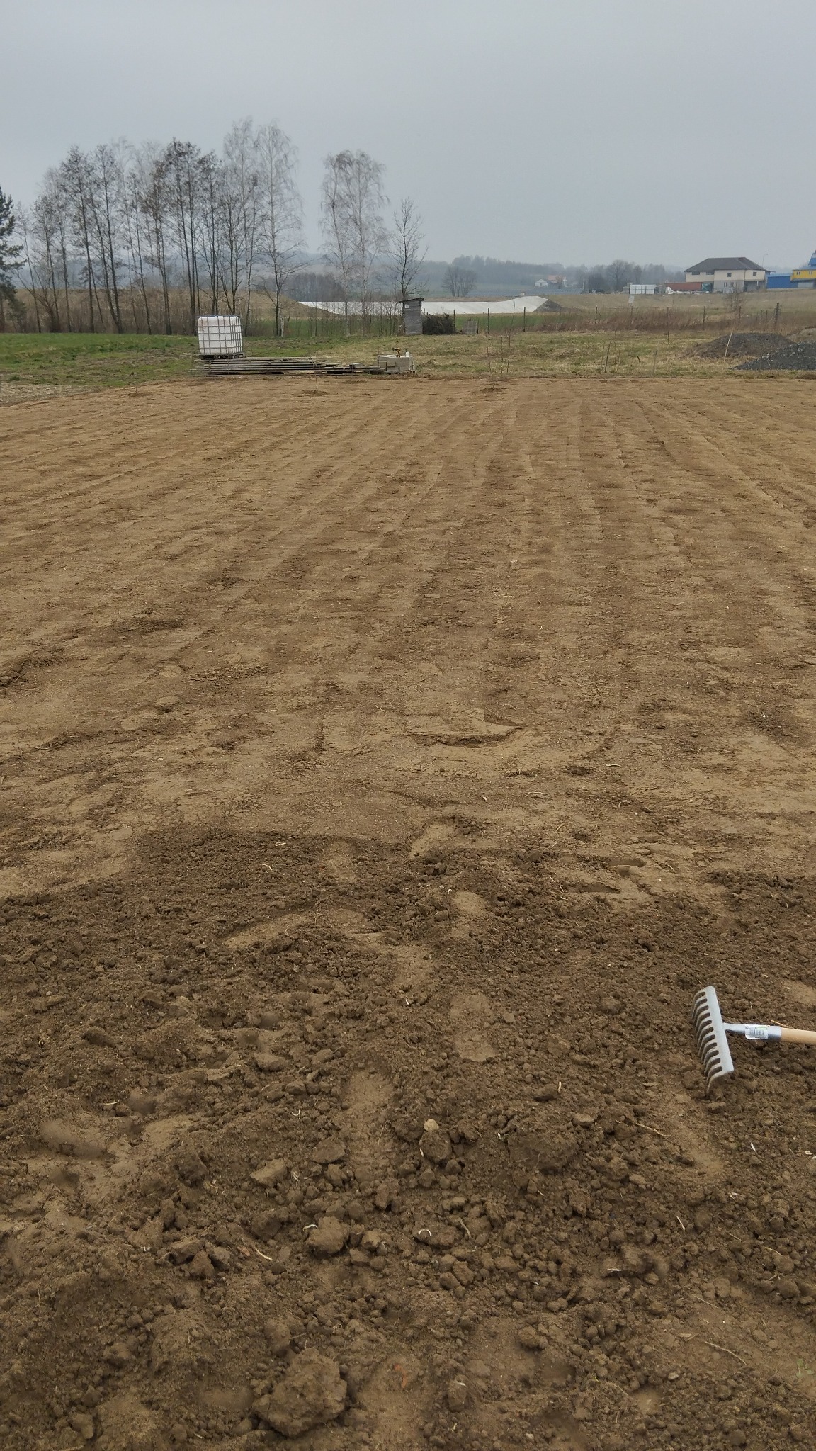 Przygotowany teren pod trawnik z widocznymi śladami po bronowaniu i grabiami leżącymi obok, w tle drzewa bez liści i zabudowania.