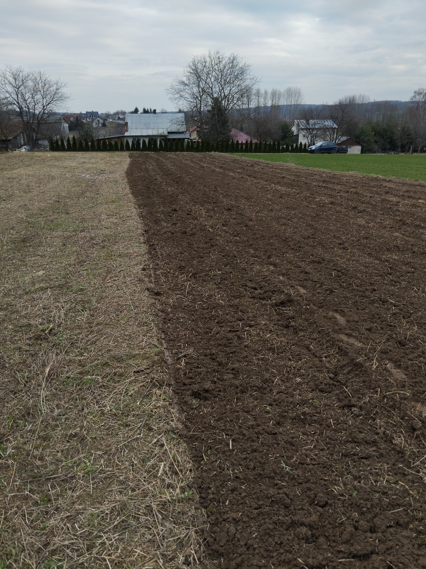 Częściowo niwelowany teren z widoczną granicą między obszarem z suchą trawą a świeżo przekopaną ziemią, w tle zabudowania wiejskie i drzewa.