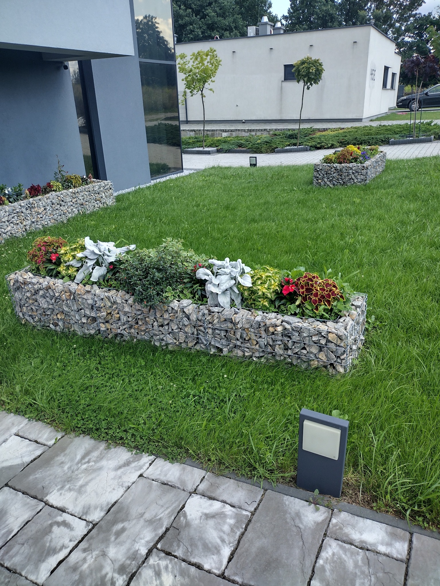 Gabionowe donice z różnorodną roślinnością ozdobną na tle zadbanego trawnika i nowoczesnego budynku.