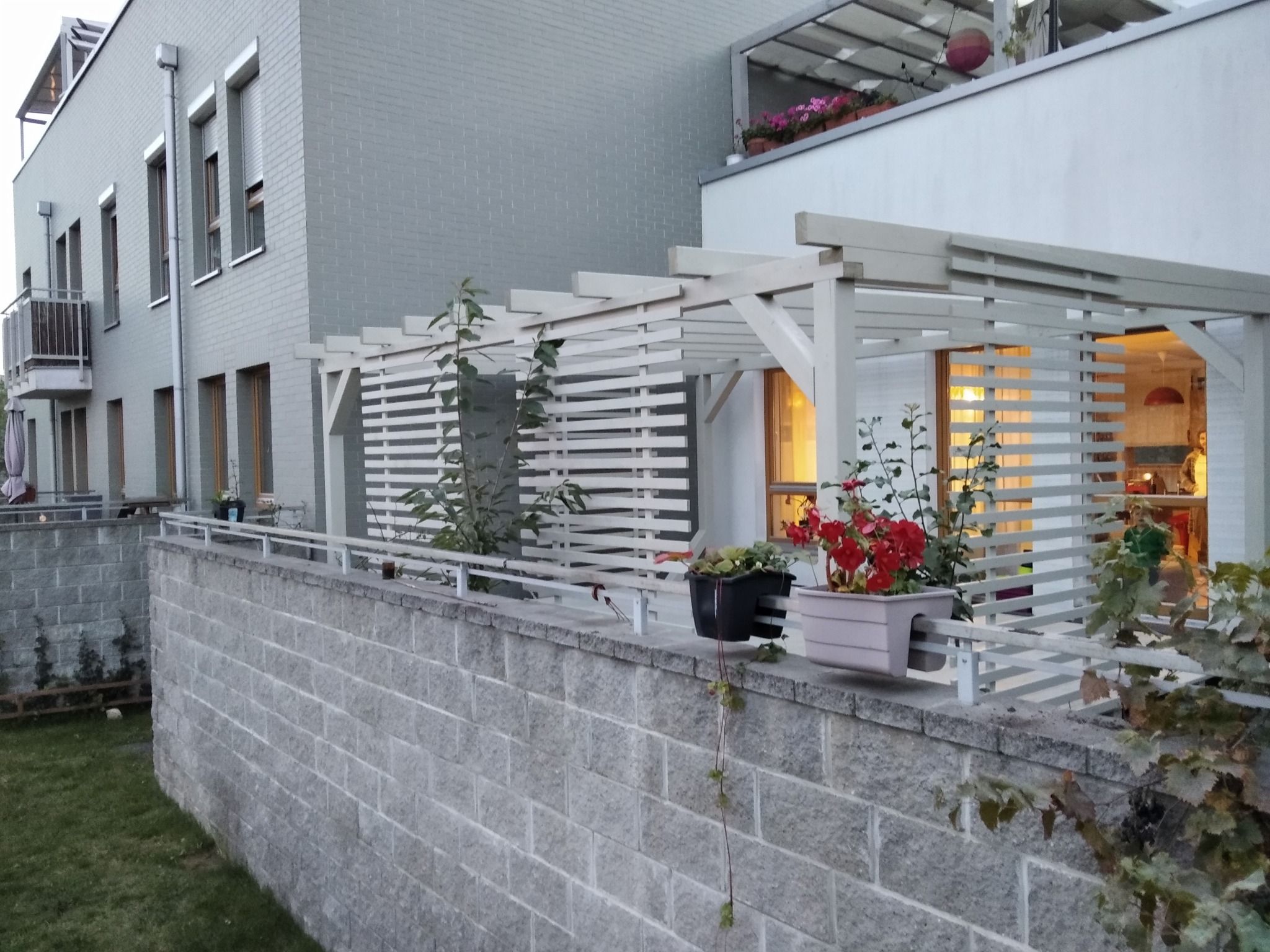 Biała pergola z poziomymi listwami, osłaniająca taras domu z szarej cegły, z kwiatami w donicach na murku i widocznym oświetleniem wewnątrz.