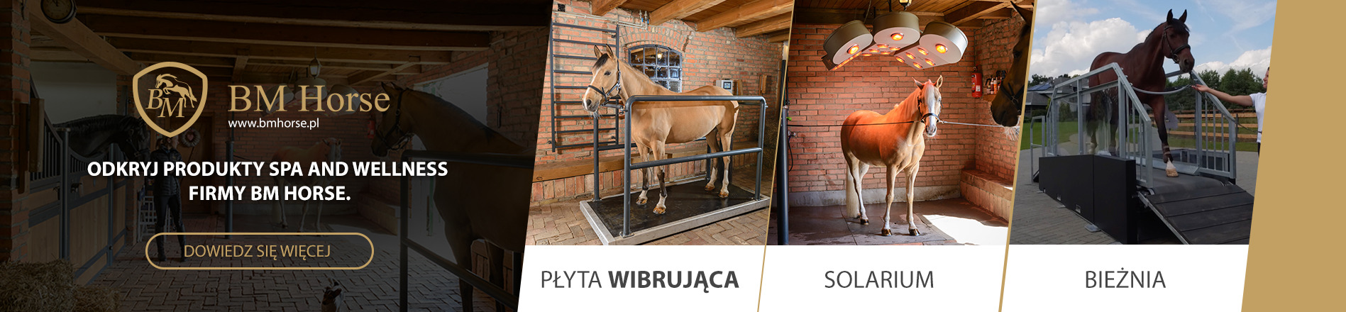 Zdjęcie przedstawia produkty i usługi spa & wellness dla koni firmy BM Horse: logo firmy, koń na płycie wibrującej, koń w solarium, koń na bieżni.