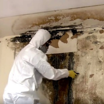 Pracownik w kombinezonie ochronnym usuwa pleśń ze ściany w pomieszczeniu. Widoczne zniszczenia spowodowane wilgocią i grzybem.