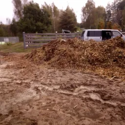 Nawożenie zrębkami drewnianymi pod krzewy owocowe i borówkę
