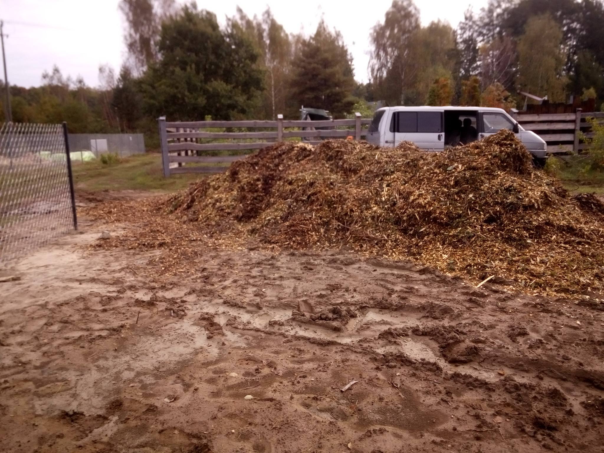 Nawożenie zrębkami drewnianymi pod krzewy owocowe i borówkę