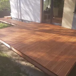 Taras modrzew syberyjski