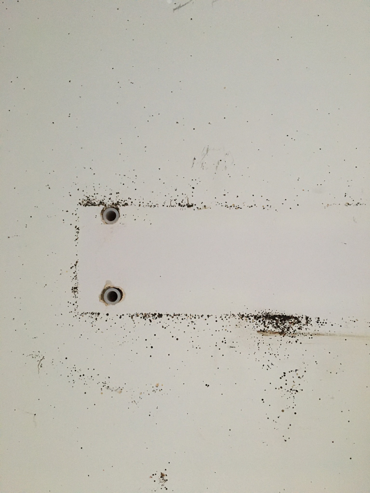 Powierzchnia z widocznymi śladami po szkodnikach oraz dwoma otworami, prawdopodobnie po interwencji mającej na celu ich usunięcie.