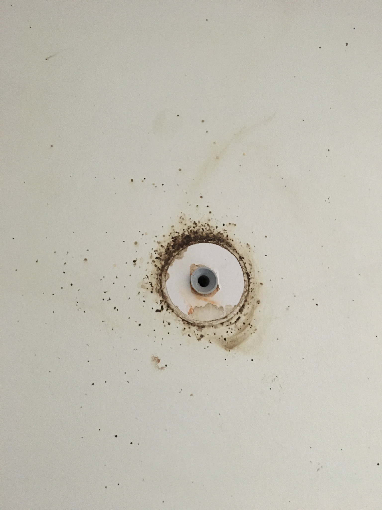 Otwór w ścianie z widocznymi śladami po insektach i brudzie wokół kołka rozporowego.