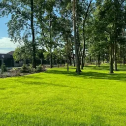 Rozległy trawnik o intensywnej zieleni, otoczony wysokimi drzewami w słoneczny dzień, z widocznym budynkiem w tle za ogrodzeniem.