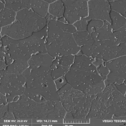 Mikroskopowy obraz struktury metalu z widocznymi granicami ziaren i wtrąceniami, powiększenie 2.00 kx, detektor SE.