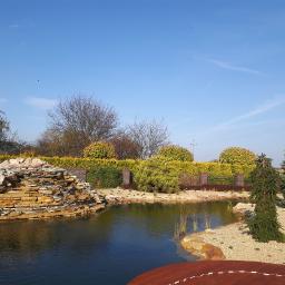 Oczka wodne Rzeszów 2