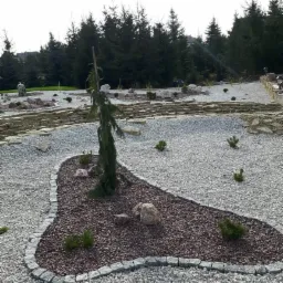 Kompozycja ogrodu z drzewkiem iglastym, kamieniami i żwirem w różnych odcieniach, obrzeże z kostki granitowej, tło z drzew iglastych.