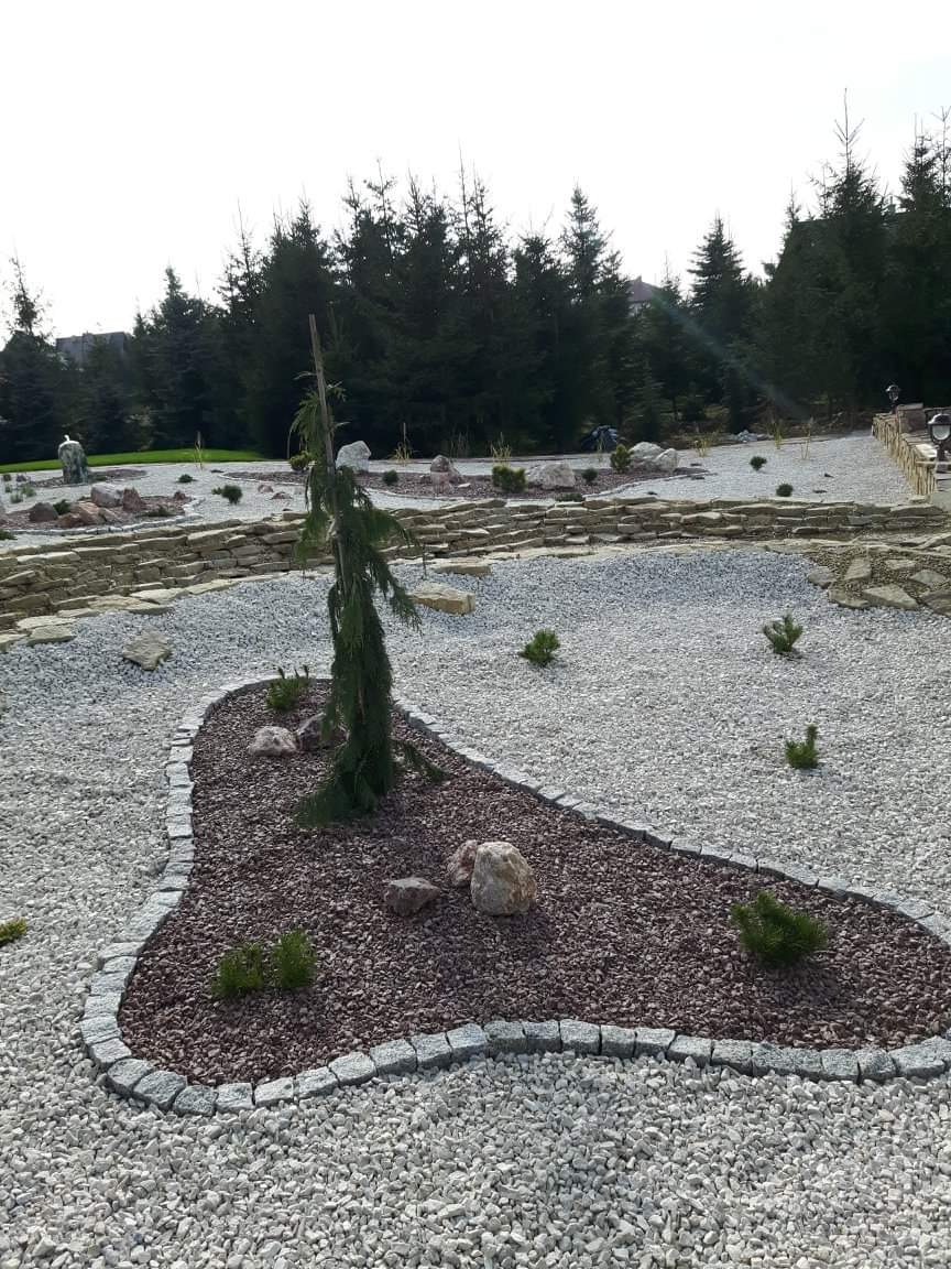 Kompozycja ogrodu z drzewkiem iglastym, kamieniami i żwirem w różnych odcieniach, obrzeże z kostki granitowej, tło z drzew iglastych.