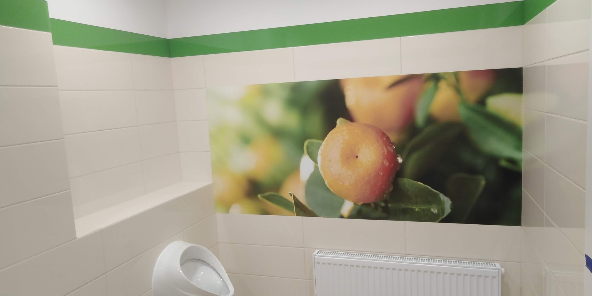 Jasna łazienka z beżowymi płytkami, zielonym paskiem dekoracyjnym i fototapetą z motywem owoców cytrusowych nad pisuarami i grzejnikiem.