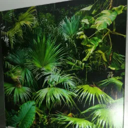 Fototapeta z motywem tropikalnej dżungli z palmami i monsterami, przyklejona na ścianie w pomieszczeniu z szarą płytką na ścianie po lewej stronie i fragmentem podłogi z beżowych płytek na dole.