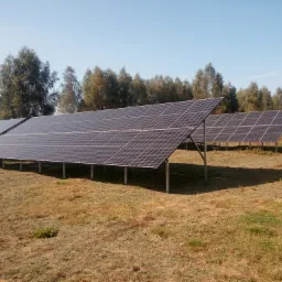 Instalacja paneli słonecznych w Opocznie na rozległym, trawiastym terenie, z rzędami drzew w tle pod błękitnym niebem.