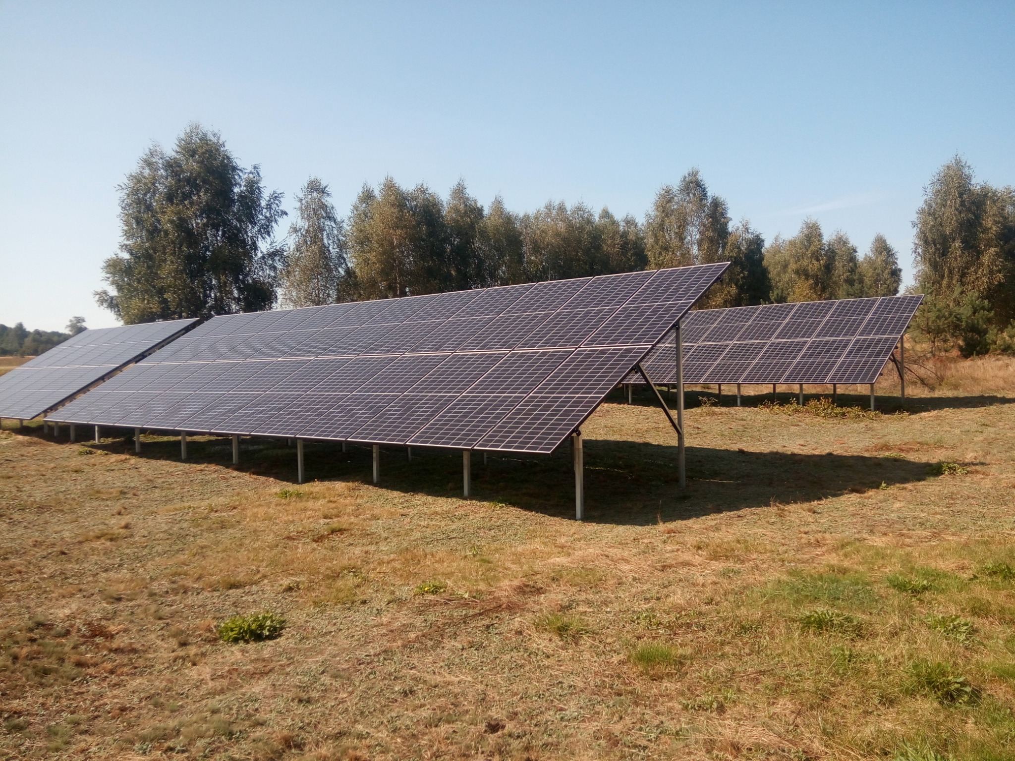 Instalacja paneli słonecznych w Opocznie na rozległym, trawiastym terenie, z rzędami drzew w tle pod błękitnym niebem.