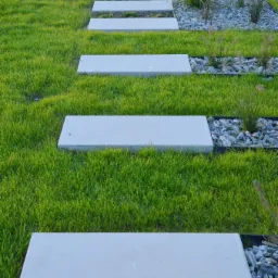 Ścieżki w trawniku