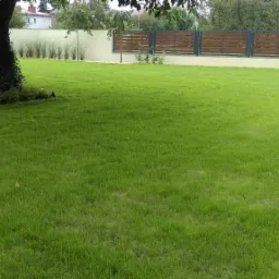 Trawnik nawadnianie projekt nasadzenia