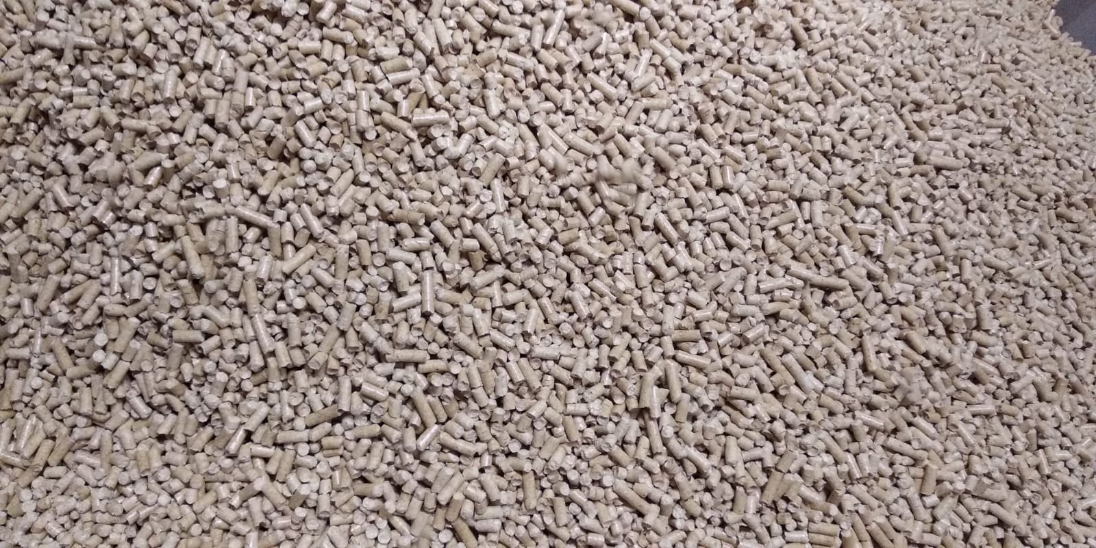 Jasne granulki biomasy ułożone warstwą, widoczne drobne nierówności i odcienie koloru drewna, oświetlenie naturalne.