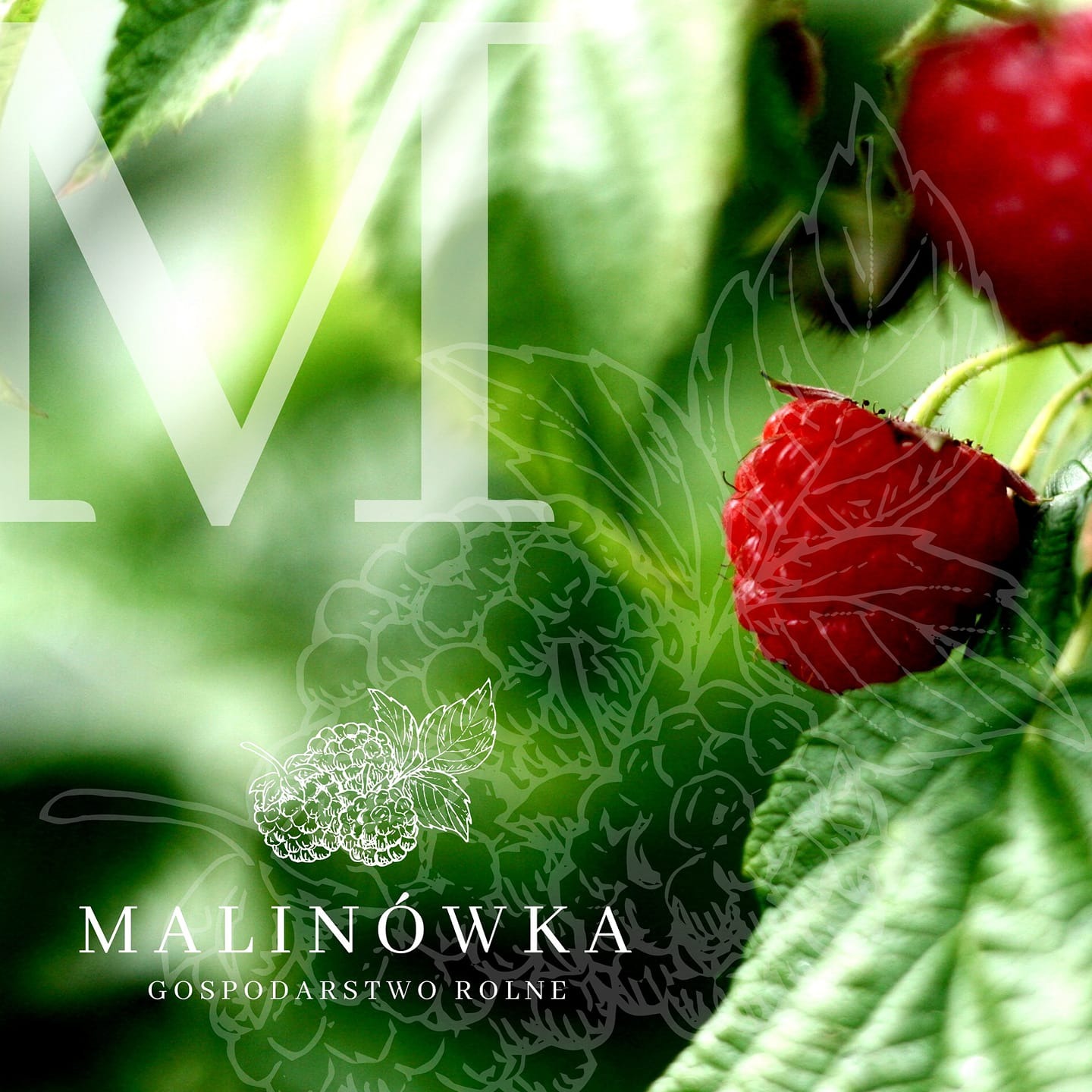 Logotyp gospodarstwa Malinówka