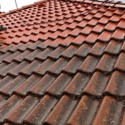 Czerwona dachówka ceramiczna po zabiegu czyszczenia, widoczne resztki wilgoci i usunięte zabrudzenia, zarys węża ciśnieniowego w górnej części kadru.