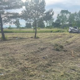Pożeracz zarośli - Teren po skoszeniu trawy z widocznym traktorem koszącym i drzewami w tle, częściowo skoszona trawa leży na ziemi.