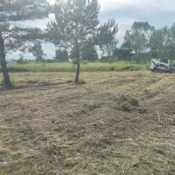 Teren po skoszeniu trawy z widocznym traktorem koszącym i drzewami w tle, częściowo skoszona trawa leży na ziemi.