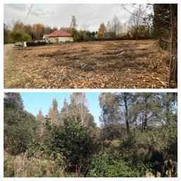Pożeracz zarośli - Działka po wycince drzew i karczowaniu pni, przygotowana pod nowe nasadzenia, widoczny dom w tle