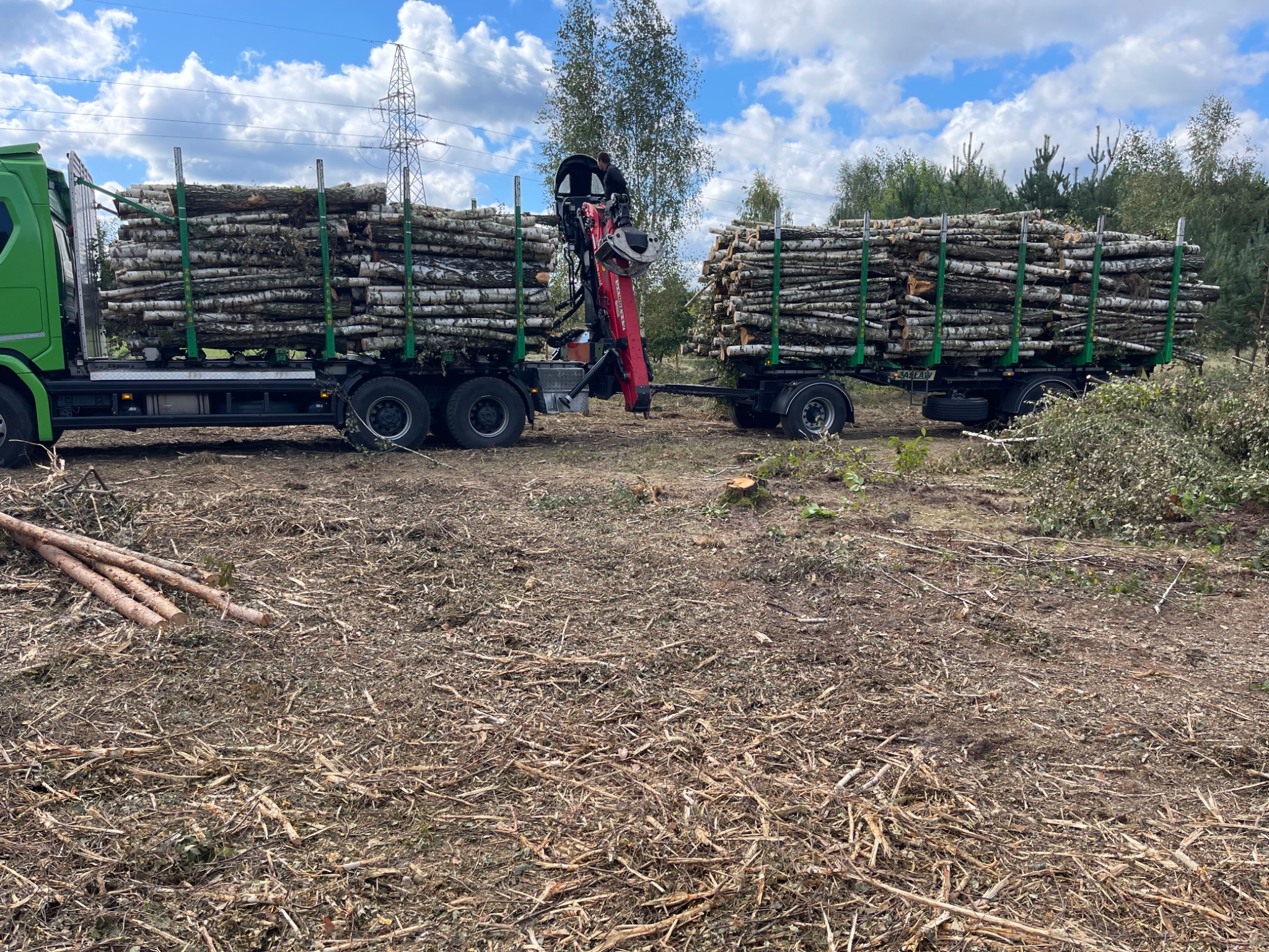 Ciężarówka z przyczepą załadowana pociętymi kłodami brzozy na tle wycinki drzew i błękitnego nieba z chmurami.