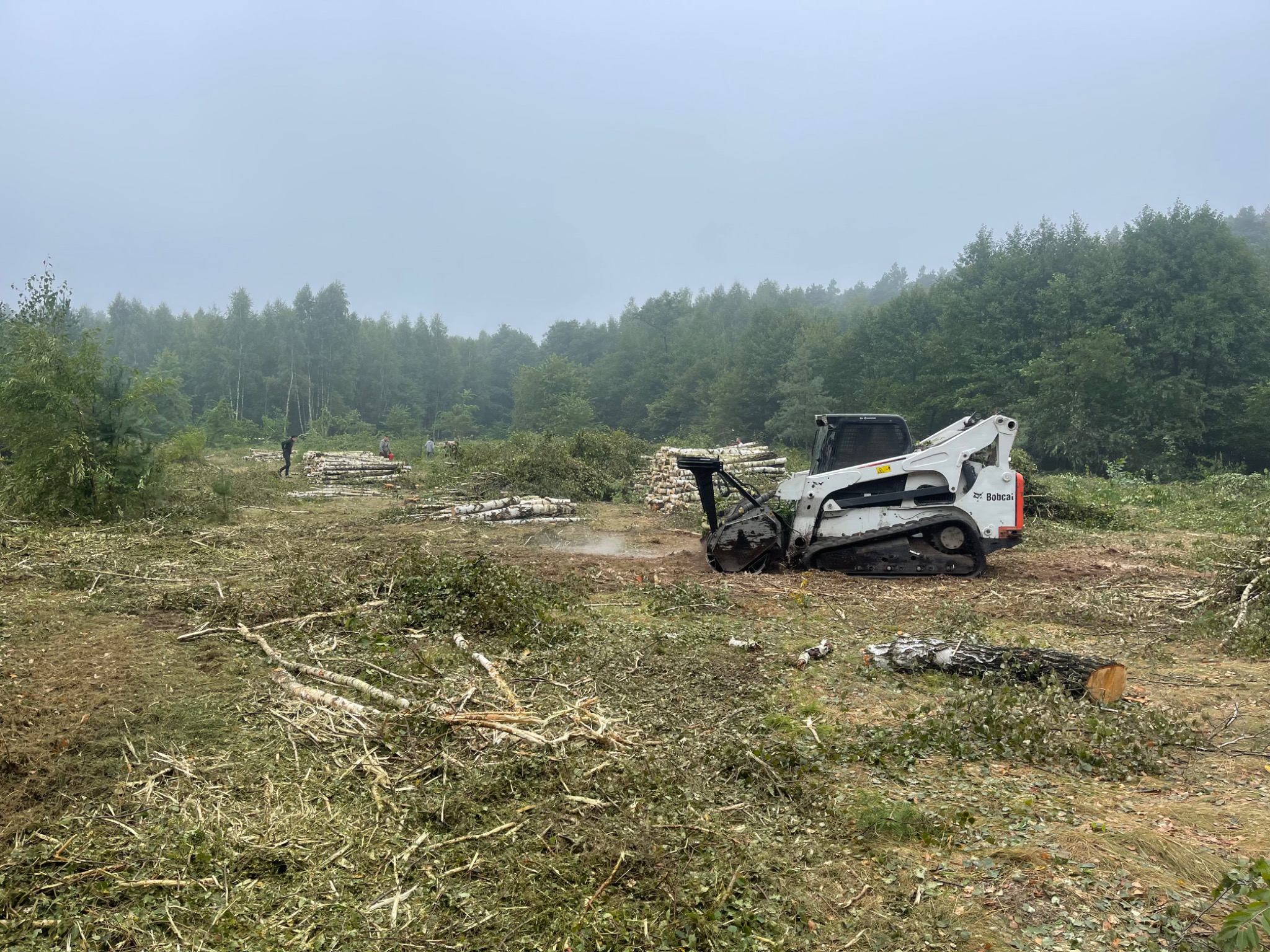 Krajobraz po wycince drzew: biała maszyna Bobcat z frezem do pni na pierwszym planie, ścięte pnie drzew i gałęzie na ziemi, w tle las we mgle, widoczni pracownicy w oddali.