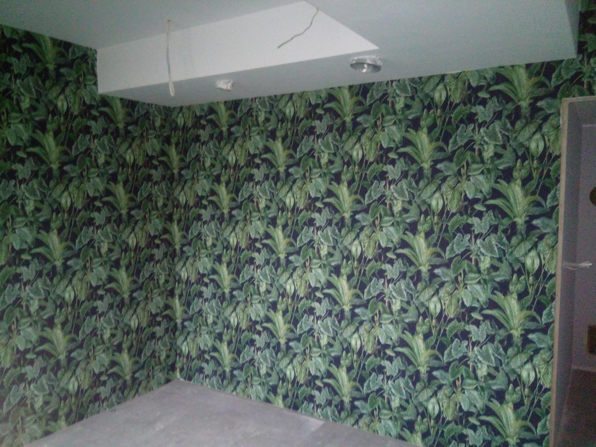 Pokój z tapetą w motywy roślinne, sufit z wnęką i wystającymi przewodami oświetleniowymi.