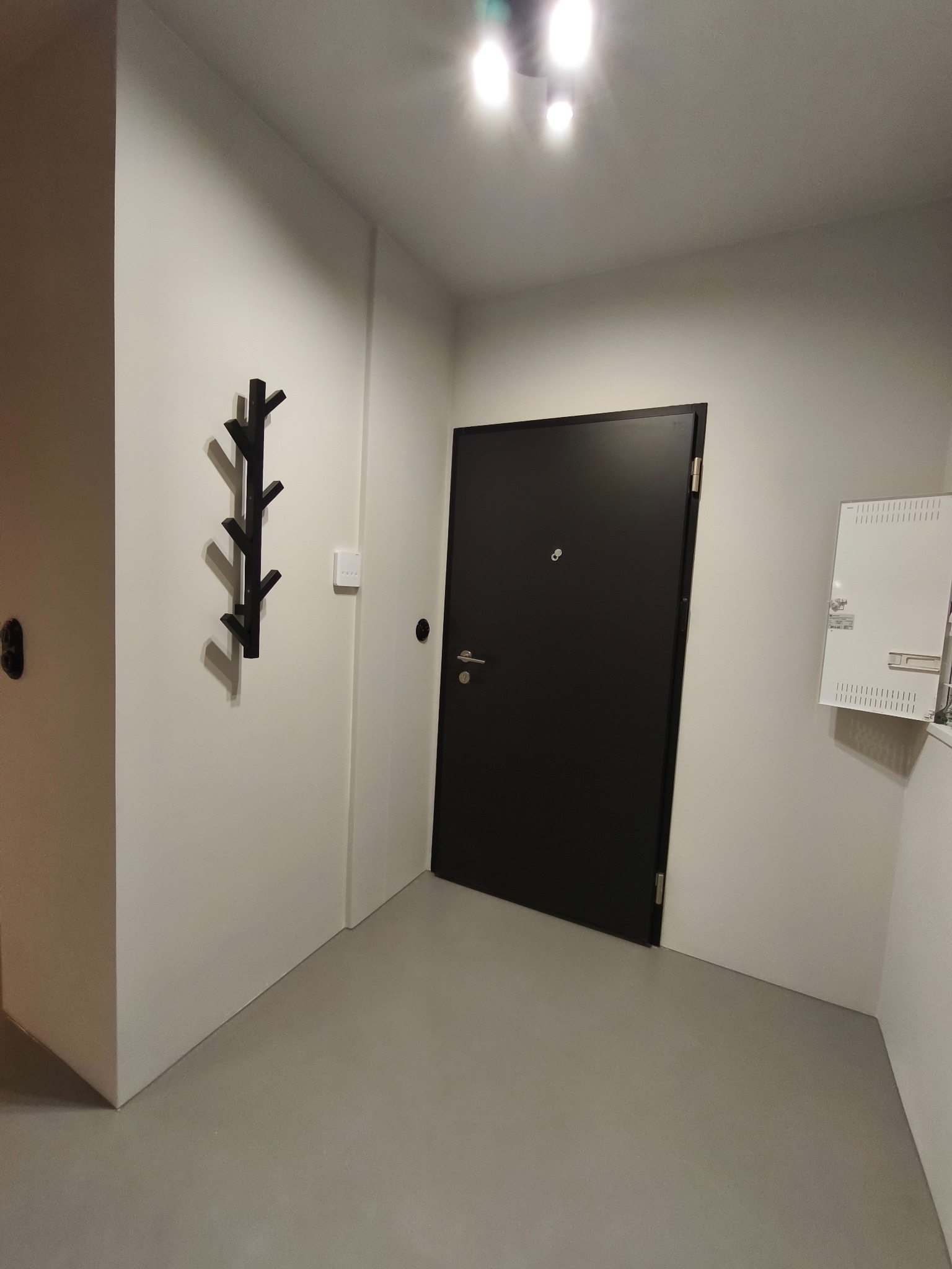 Nowoczesny przedpokój z czarnymi drzwiami i wieszakiem na ścianie. Minimalistyczne wnętrze z szarą podłogą i białymi ścianami. Oświetlenie sufitowe.