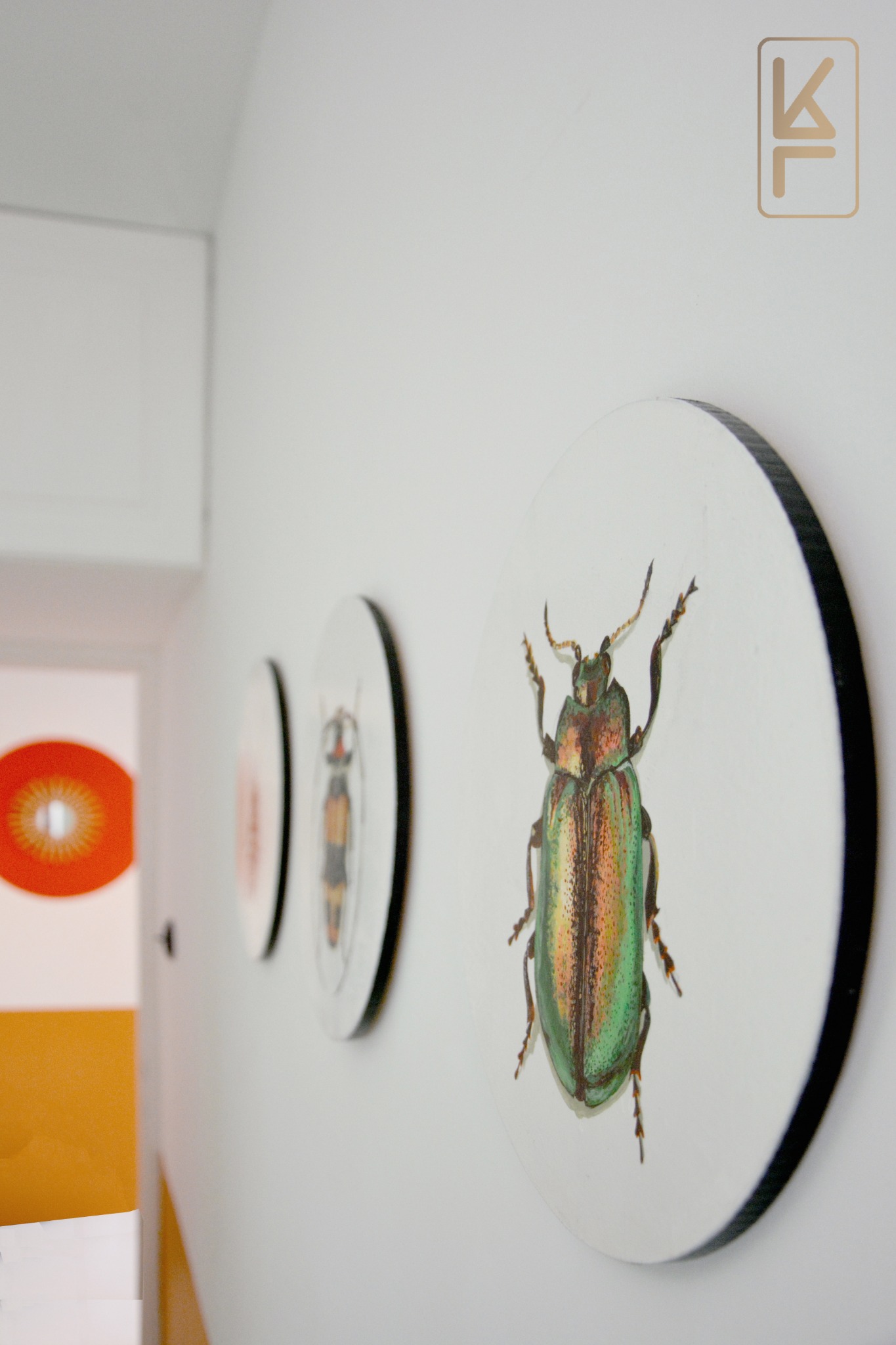 Trzy okrągłe dekoracje ścienne z motywem owadów, z dominującym, metalicznie zielonym żukiem na pierwszym planie, umieszczone w minimalistycznym białym wnętrzu z elementami pomarańczowymi w tle.