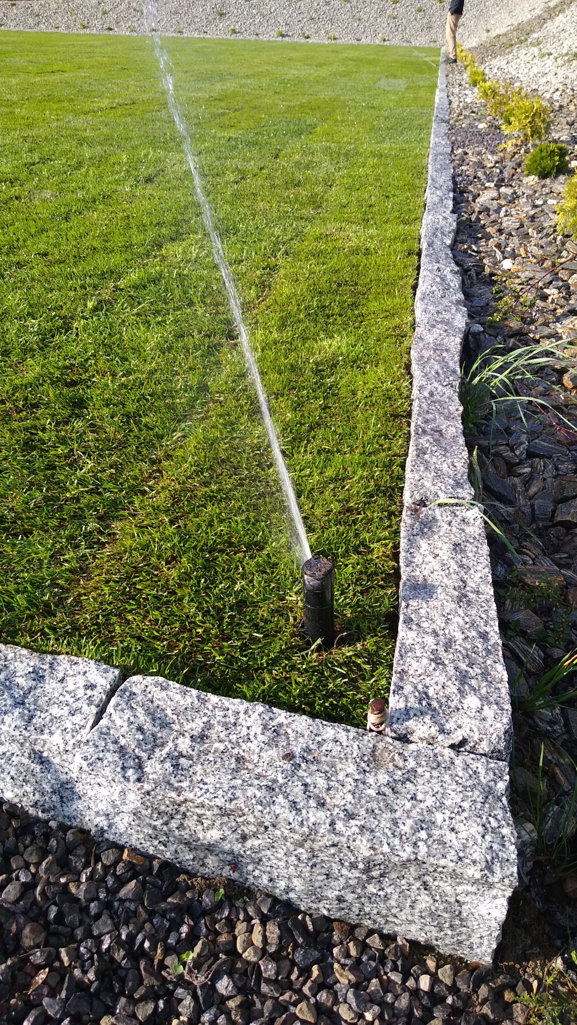 Automatyczny system nawadniania trawnika z dyszą rozpryskującą wodę, obrzeże z jasnego granitu, w tle skarpa z kruszywa.