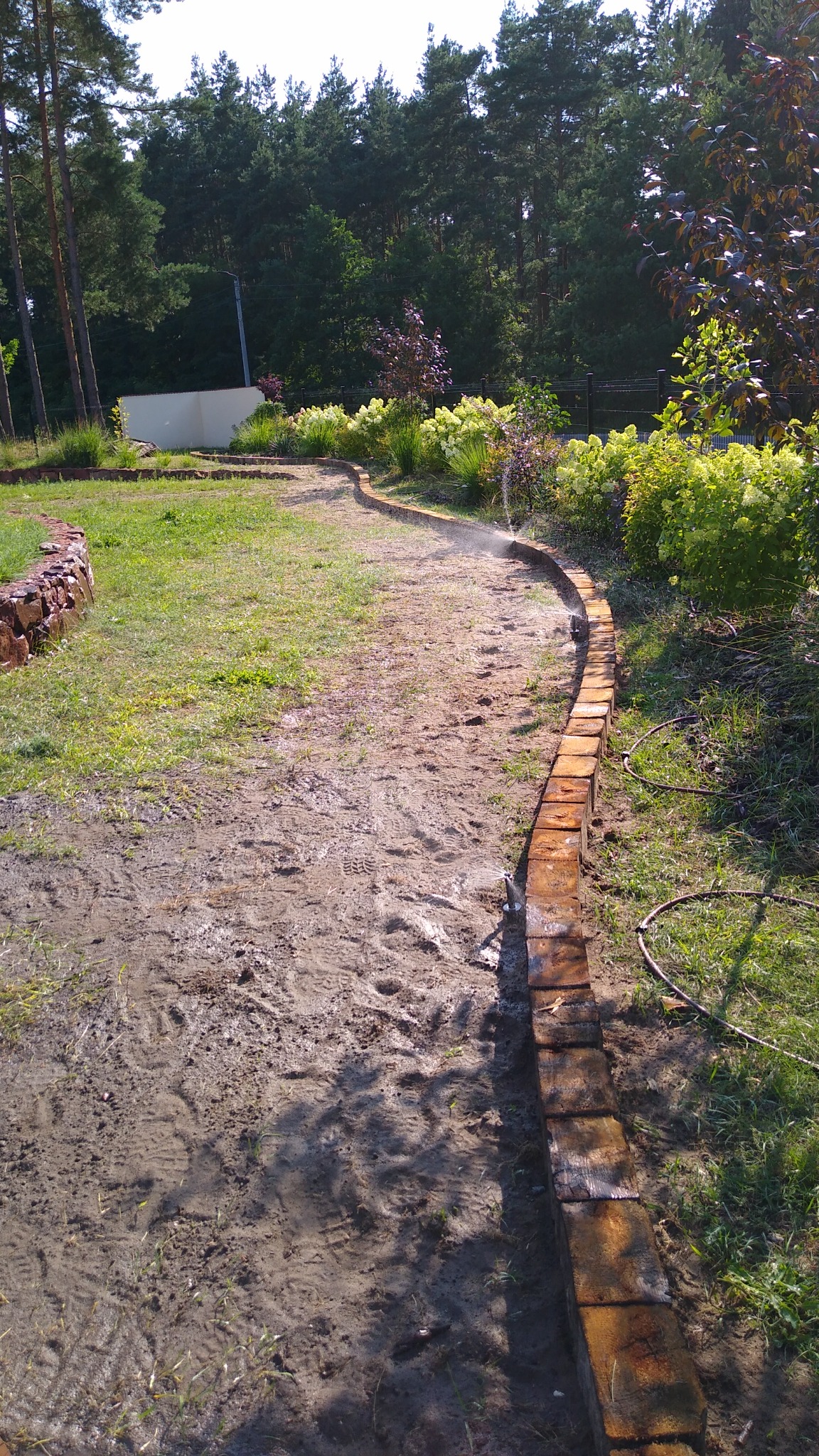 Ścieżka w ogrodzie wyłożona drewnianymi krawężnikami, nawadniana przez system zraszaczy, z widocznymi śladami stóp na mokrej ziemi.