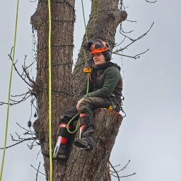 Prace wysokościowe Mińsk Mazowiecki