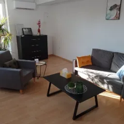 Jasny pokój z szarą sofą, fotelem, czarnym stolikiem kawowym, komodą i roślinami doniczkowymi, aranżacja wnętrza gabinetu.