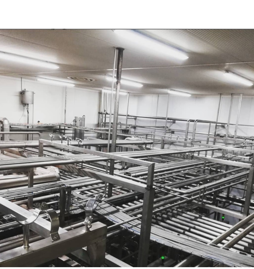 Rozbudowana instalacja rurociągów ze stali nierdzewnej w hali przemysłowej, widoczne liczne zawory i łączenia, oświetlenie jarzeniowe na suficie.