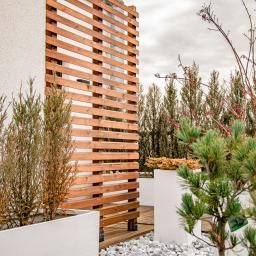 Pracownia Stolarska Willow - Drewniana przesłona z poziomych listew, oddzielająca przestrzeń tarasu z białymi donicami wypełnionymi roślinami i szarym grysem.