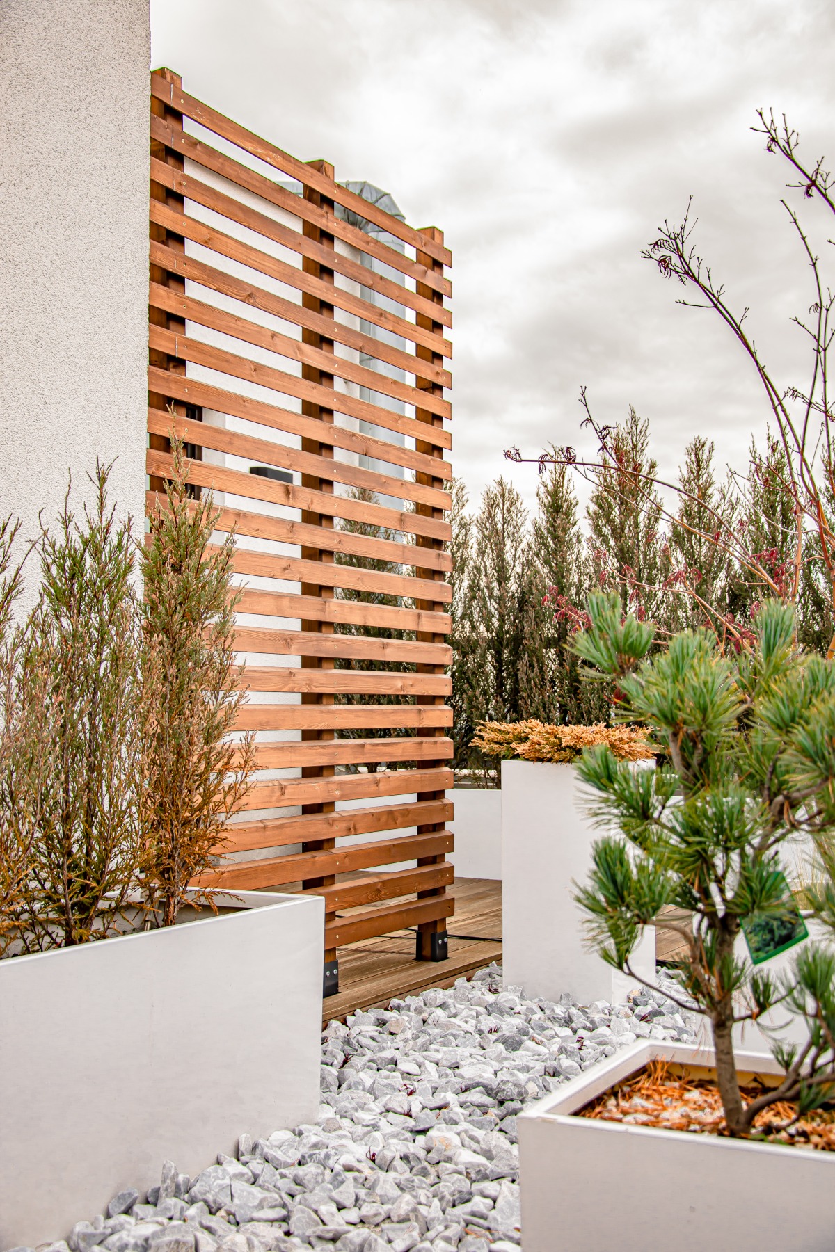 Drewniana przesłona z poziomych listew, oddzielająca przestrzeń tarasu z białymi donicami wypełnionymi roślinami i szarym grysem.