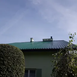 Zielony, blaszany dach domu jednorodzinnego z dwoma kominami, widoczny z poziomu ogrodu, na tle błękitnego nieba.