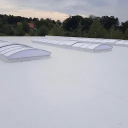 Biały dach płaski z czterema świetlikami kopułowymi, widok z góry, drzewa w tle.